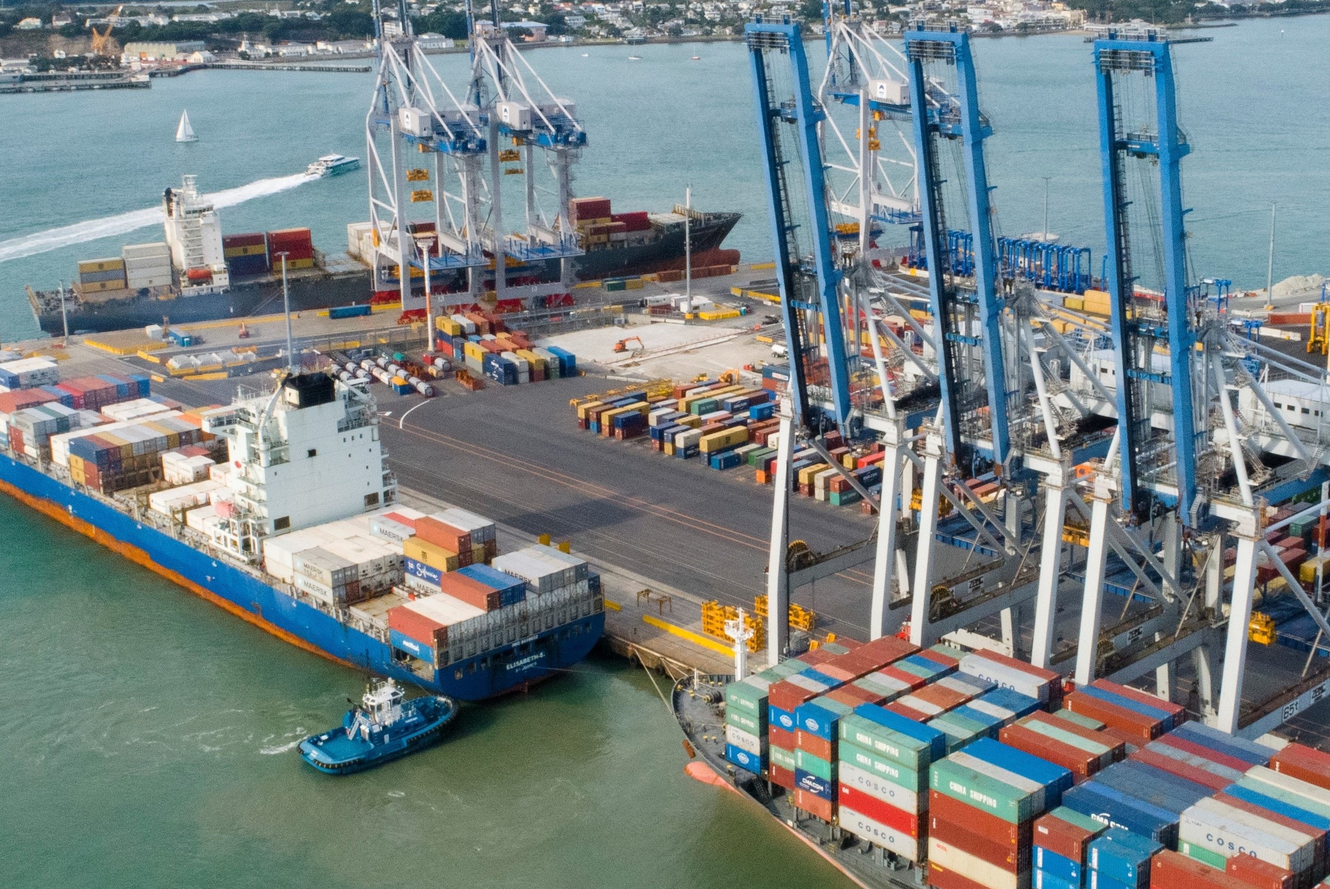 Milestone for Auckland Container Terminal | Export and ...