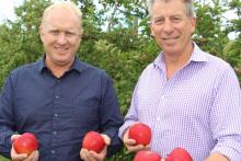Dazzling the world with a new apple 