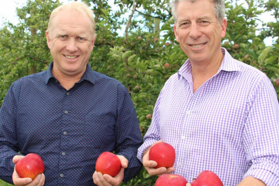 Dazzling the world with a new apple 